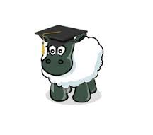 sheep graduate