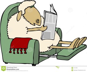 reading sheep
