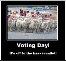 voting-sheep
