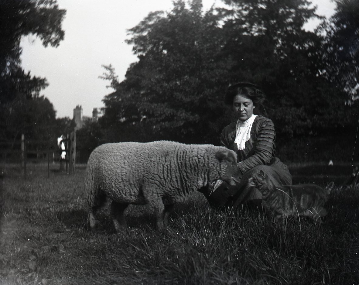 vintage woman with sheep